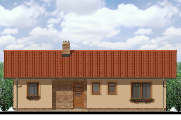 Array - perspektiva PL